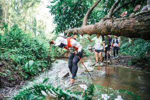 BIB: 
                            <button type="button" onclick="openModal(25515504)" class="btn btn-primary btn-sm float-right btn-popup" data-toggle="modal" data-target=".modal-high-quality">
                        <i class="fas fa-shopping-cart"></i> Add to Cart
                    </button>
                                            <button type="button" onclick="isThisMe(25515504, true)" class="btn btn-success btn-sm float-right btn-popup btn-isme hidden" data-toggle="tooltip" data-placement="bottom" title="นี่คือรูปของคุณใช่ไหม คลิกที่นี่เพื่อเอาเข้าอัลบั้ม">
                        <i class="fas fa-plus"></i> Add to album
                    </button>
                    <button type="button" onclick="isThisMe(25515504, false)" class="btn btn-warning btn-sm float-right btn-popup btn-isnotme hidden">
                        <i class="fas fa-ban"></i> Remove from album
                    </button>